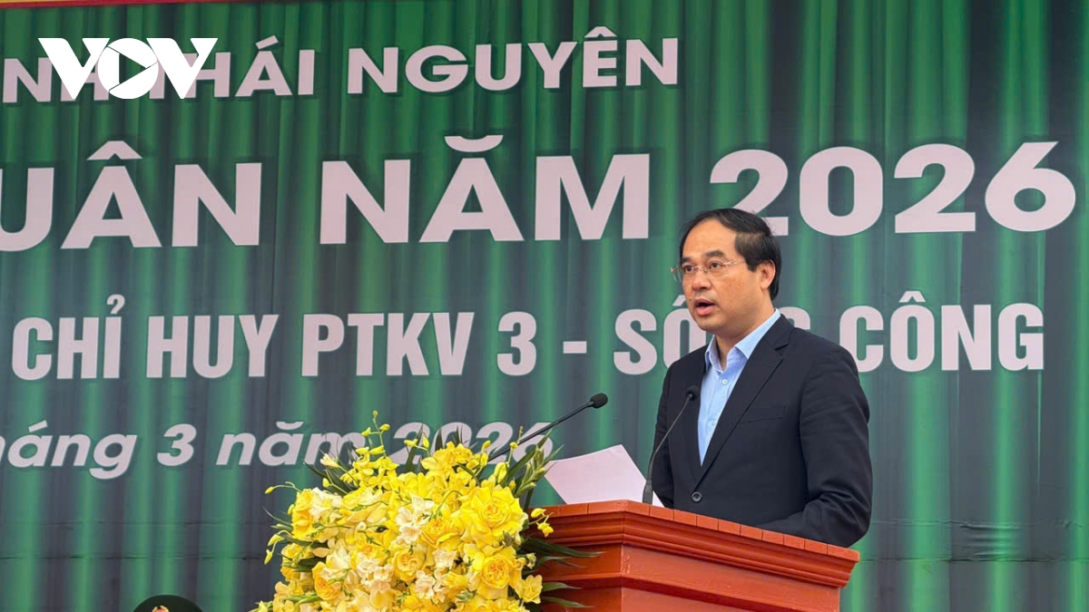 tuoi tre hang hai nhap ngu, chat luong tan binh nang cao hinh anh 64