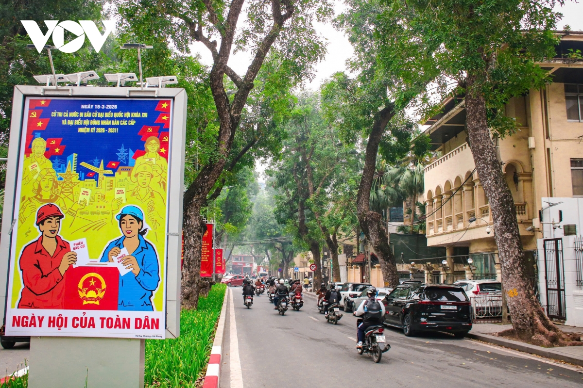 khong gian lich su ha noi ruc ro co hoa truoc ngay bau cu hinh anh 18