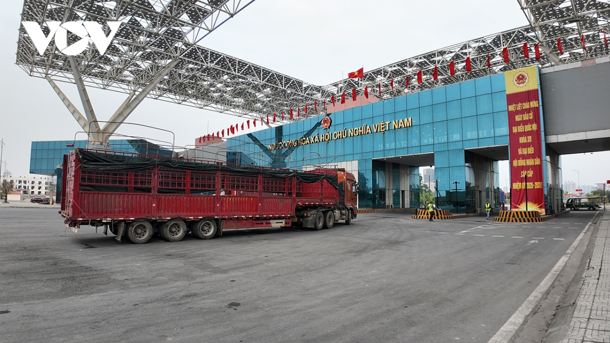 cua khau quoc te mong cai dieu chinh phan luong xuat nhap canh hinh anh 1