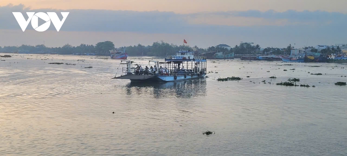 tuong thuat truc tiep ngay hoi toan dan 15 3 2026 hinh anh 312