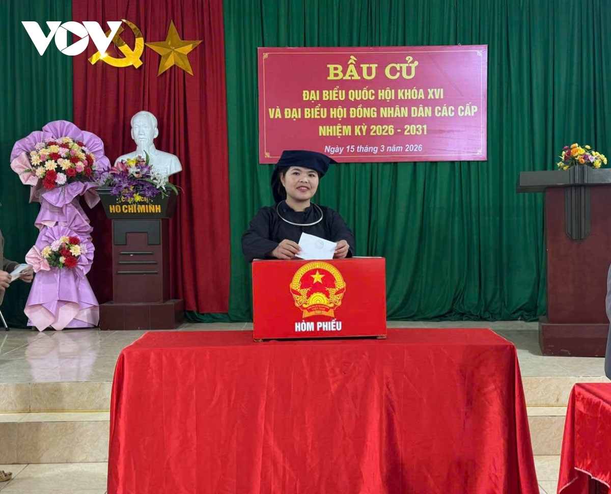 tuong thuat truc tiep ngay hoi toan dan 15 3 2026 hinh anh 286