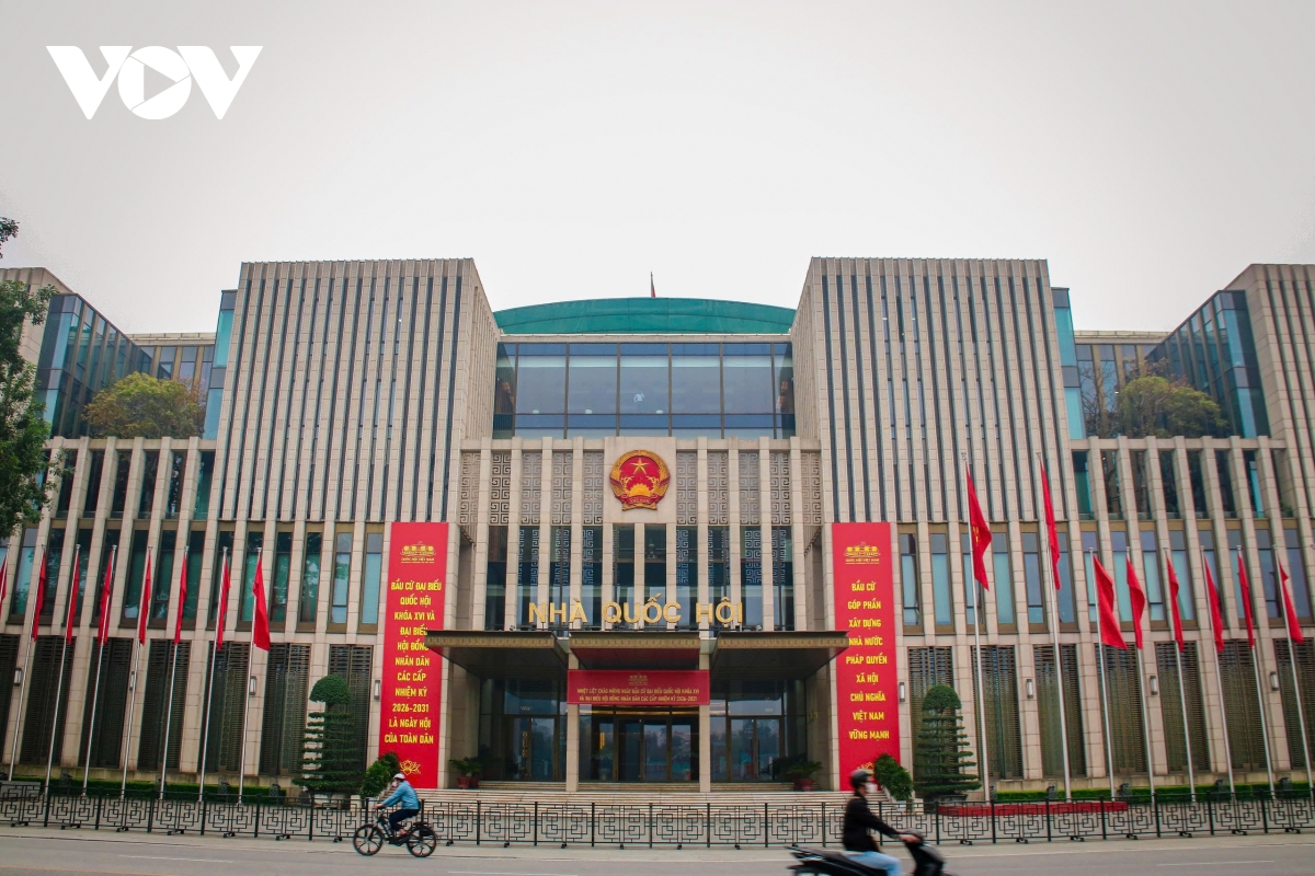 khong gian lich su ha noi ruc ro co hoa truoc ngay bau cu hinh anh 8