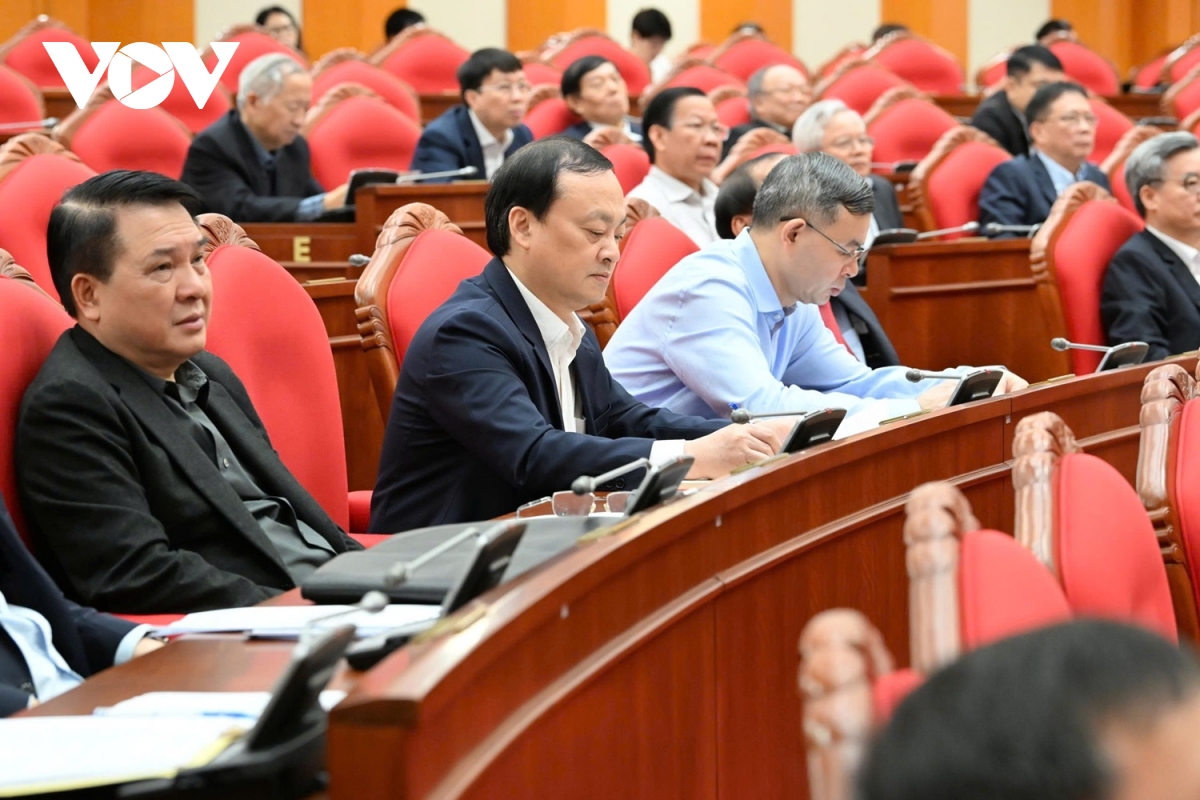 tong ket cong tac to chuc, phuc vu Dai hoi xiv cua Dang hinh anh 4