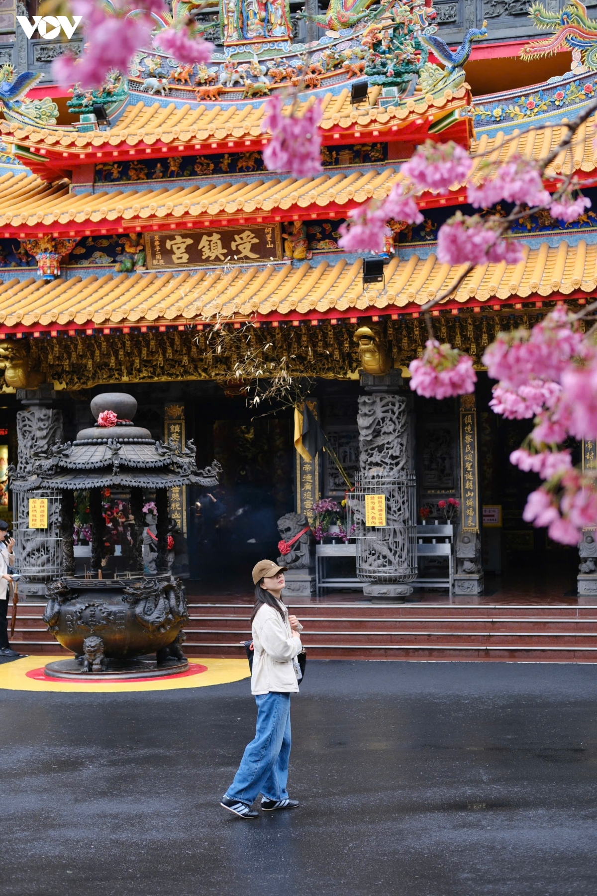du xuan alishan - lac giua bien may va rung co thu cua Dai loan hinh anh 4