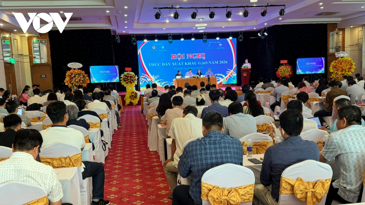 vietnam looks to boost rice exports amid rising costs, global competition picture 1