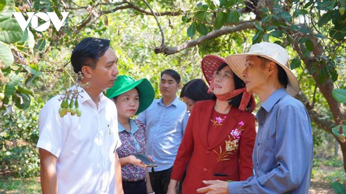 Dong nai sap co le hoi lon, quyet tam dua thuong hieu dieu bay xa hinh anh 3