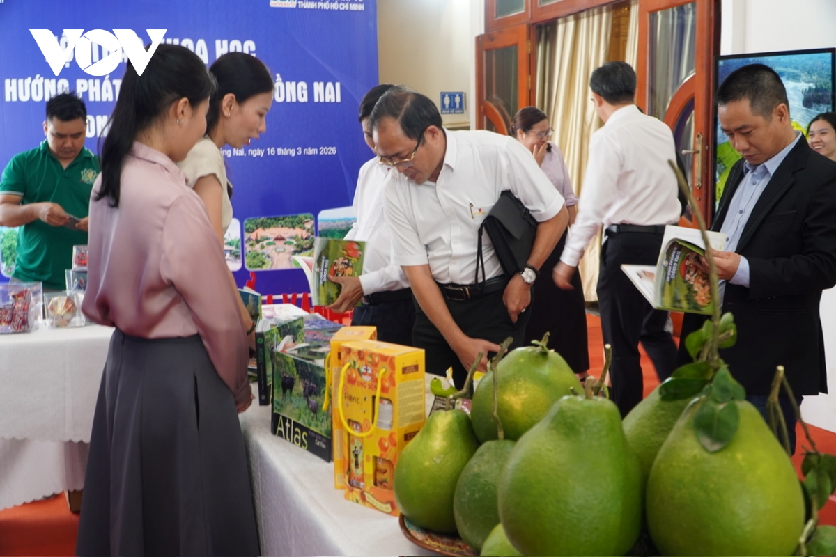 ve lai buc tranh du lich Dong nai trong khong gian moi hinh anh 2