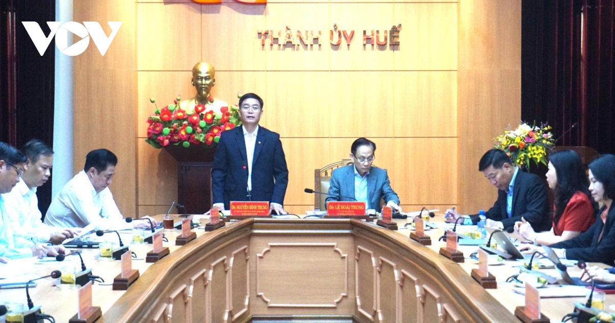 thong qua du thao bao cao kiem tra, giam sat ban thuong vu thanh uy hue hinh anh 3