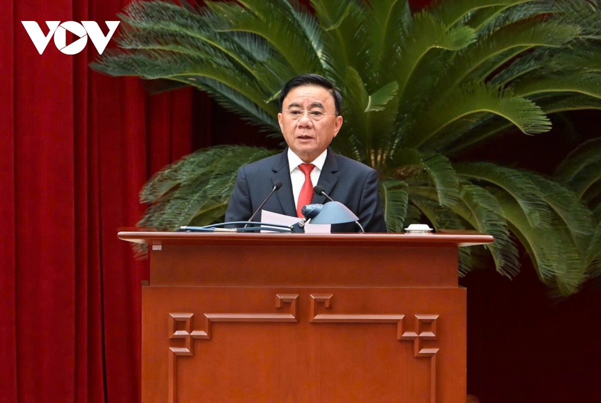 tong ket cong tac to chuc, phuc vu Dai hoi xiv cua Dang hinh anh 2