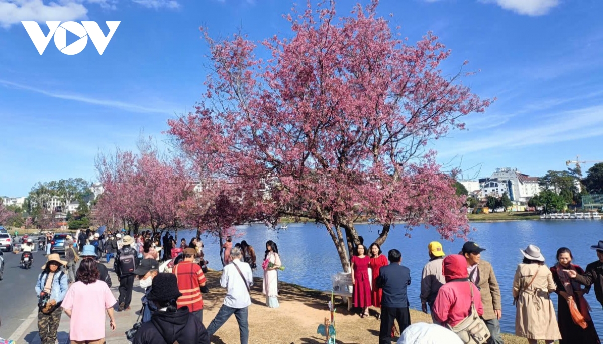 lam Dong xay dung dong bo ha tang cong nghe va du lieu so linh vuc du lich hinh anh 2