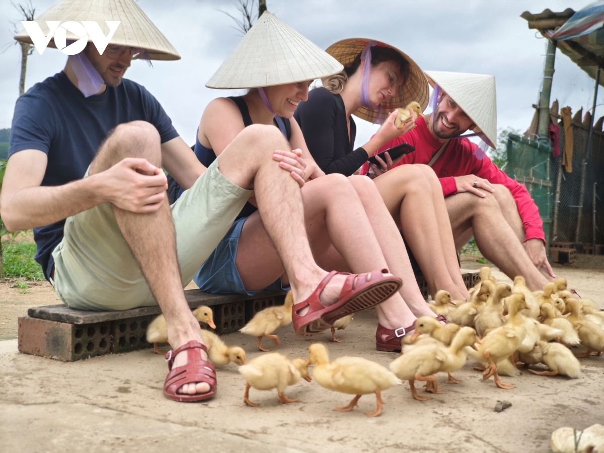 du khach nuoc ngoai thich thu trai nghiem du lich nuoi vit, chan trau, cau ca hinh anh 1