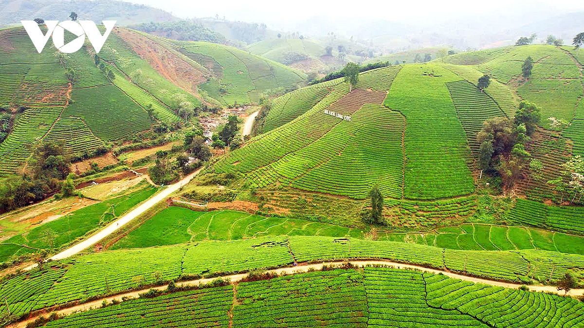 phu tho tang cuong ket noi, nang tam gia tri di san van hoa va trai nghiem du lich hinh anh 5