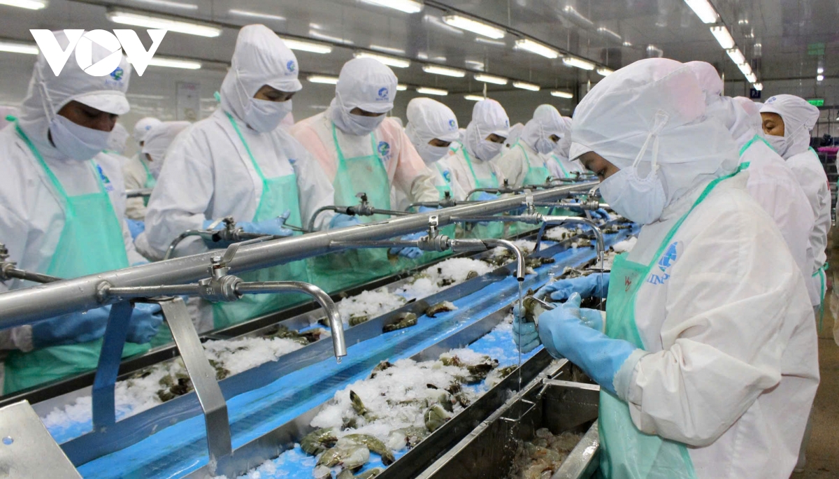 thuy san can lot xac de nang canh tranh tren duong dai xuat khau hinh anh 3