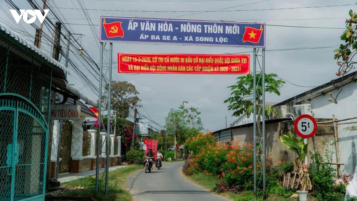 vinh long hoan tat nhung khau cuoi san sang cho ngay bau cu hinh anh 16