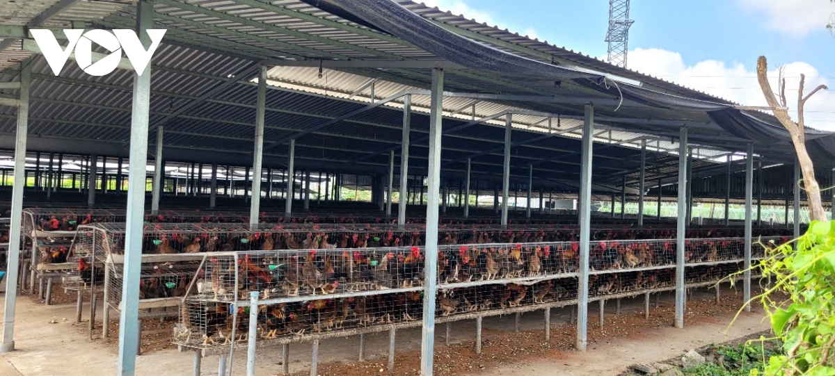 vi sao nhieu nguoi dan o Dong thap phai dong kin cua nha khi an com hinh anh 1