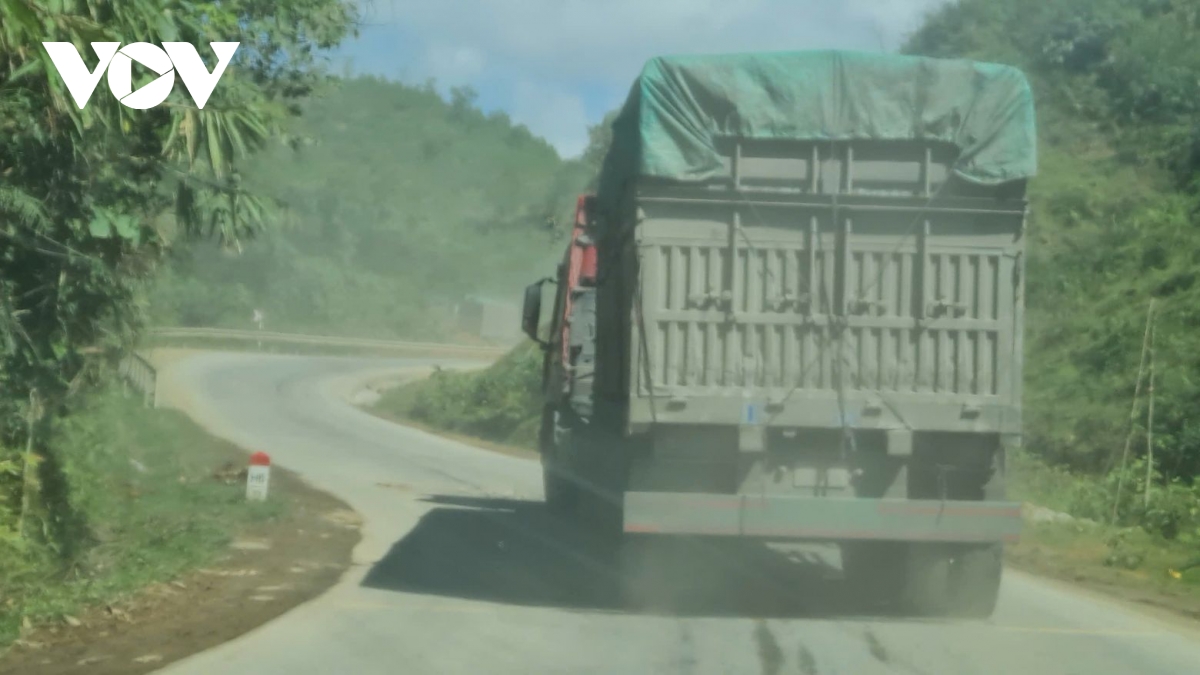 xe cho than gay bat an cho nguoi di duong tren quoc lo 49 o hue hinh anh 5