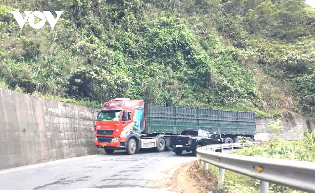 xe cho than gay bat an cho nguoi di duong tren quoc lo 49 o hue hinh anh 6