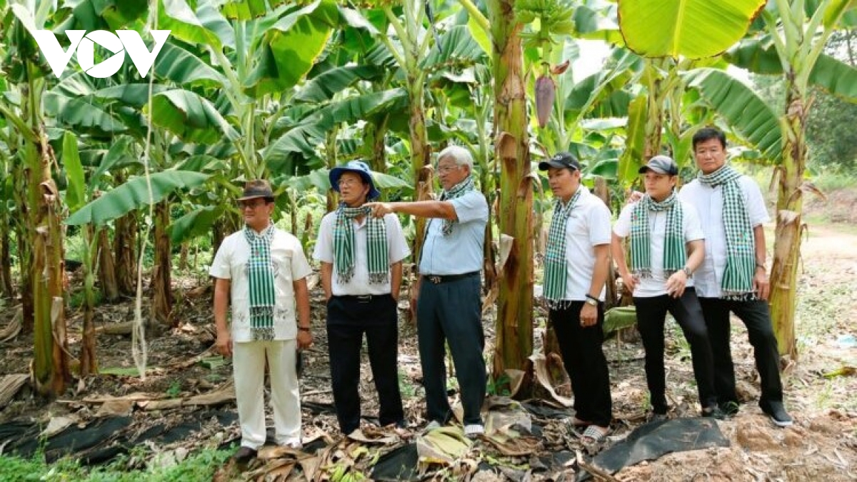 Kỳ vọng của nông dân Nam Bộ vào đại biểu ứng cử kỳ này