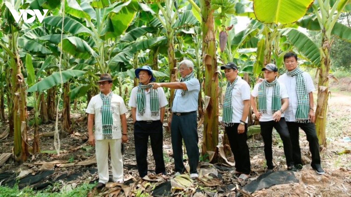 ky vong cua nong dan nam bo vao dai bieu ung cu ky nay hinh anh 1