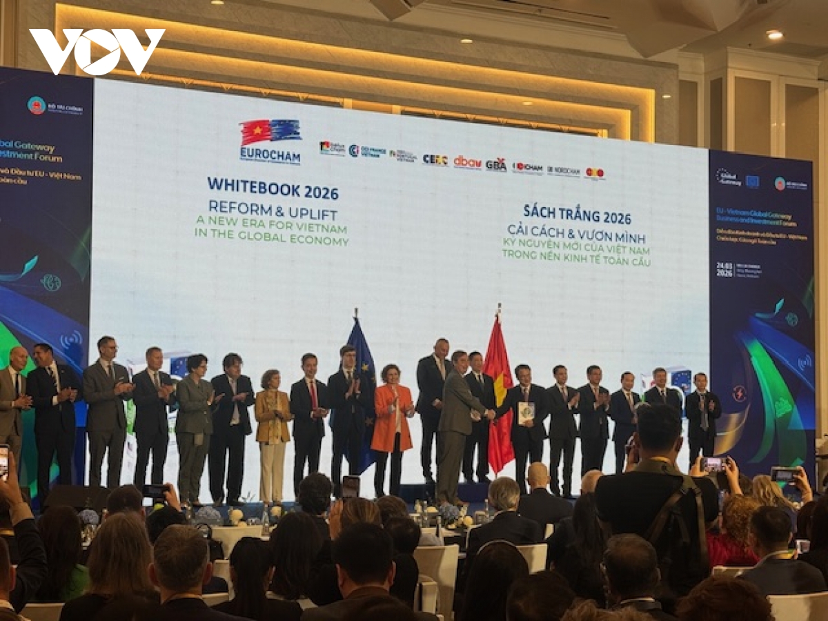 EU to channel EUR560 mln into Vietnam, prioritising modern transport, clean energy