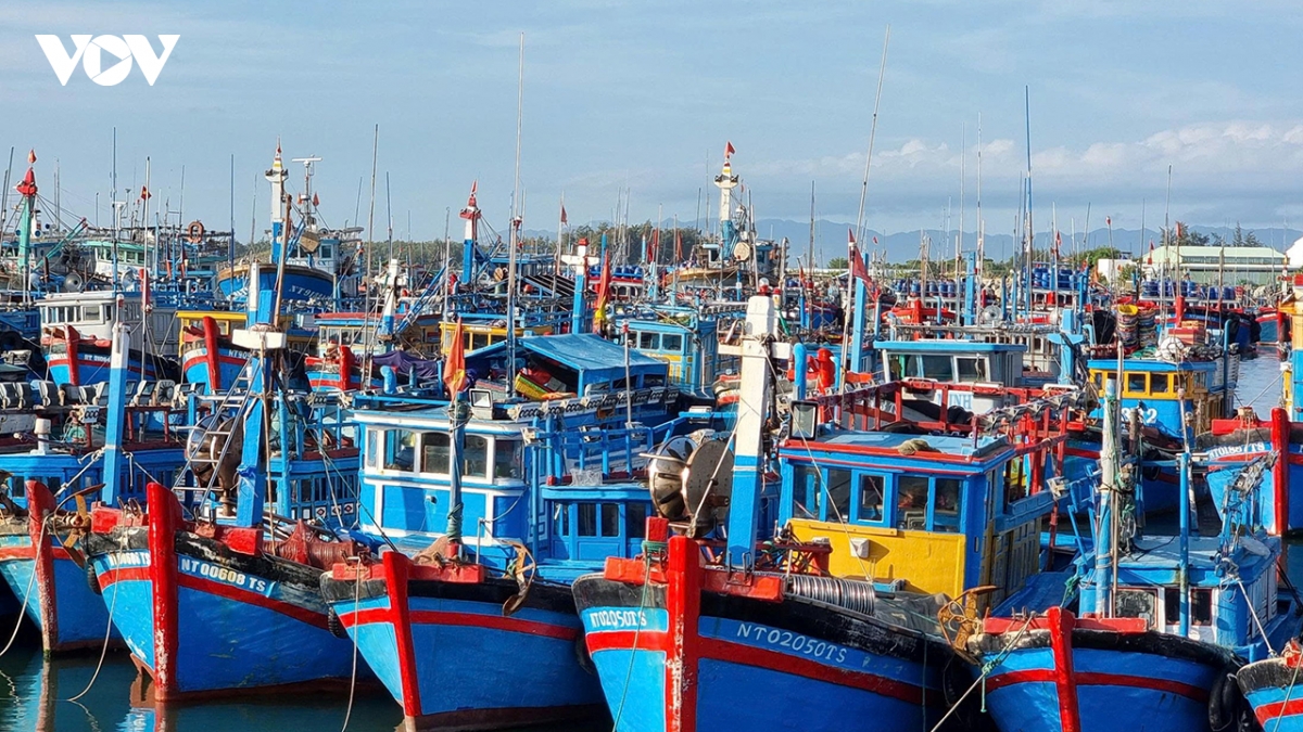 khanh hoa hoan thien ho so, minh bach so lieu chong khai thac iuu hinh anh 2