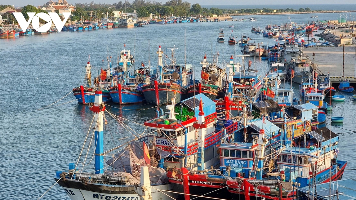 Khánh Hòa hoàn thiện hồ sơ, minh bạch số liệu chống khai thác IUU