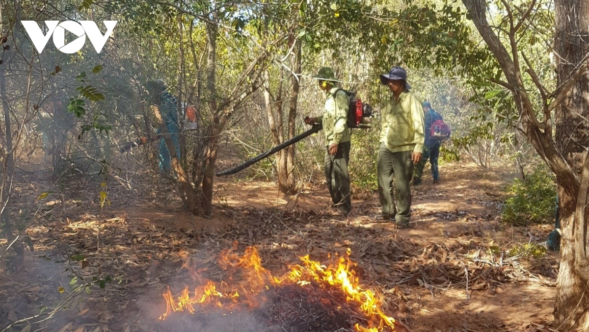 Lâm Đồng tăng cường phòng cháy rừng mùa khô 2026