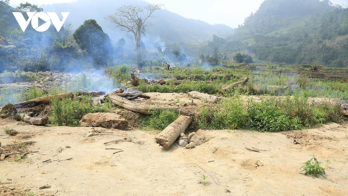 mau xanh tro lai lang peng sau con lu du hinh anh 1