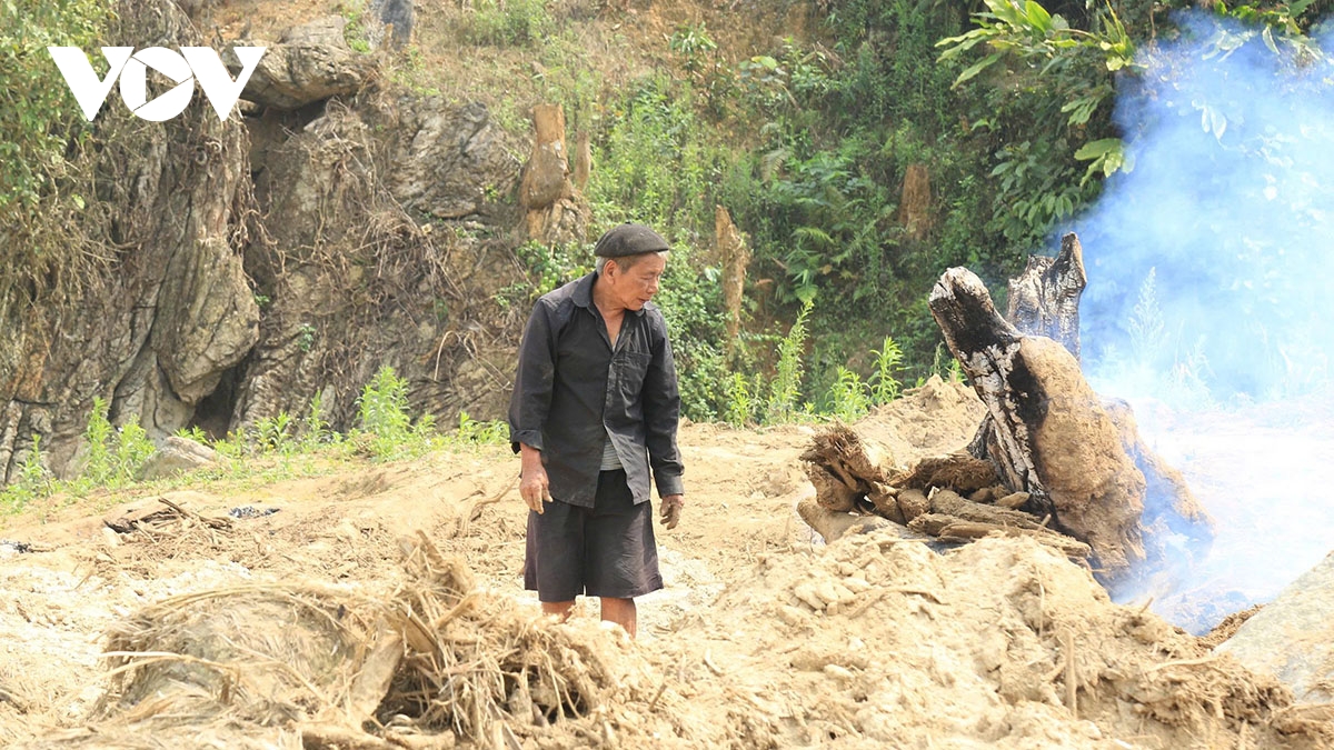 mau xanh tro lai lang peng sau con lu du hinh anh 2