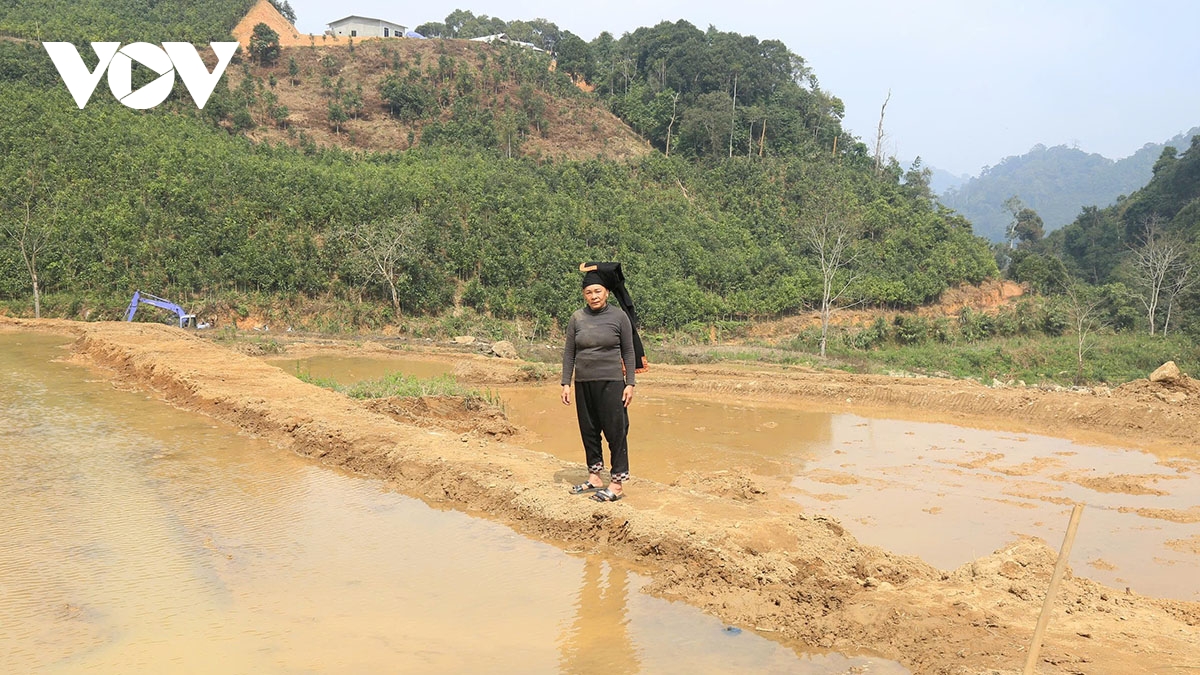 mau xanh tro lai lang peng sau con lu du hinh anh 3