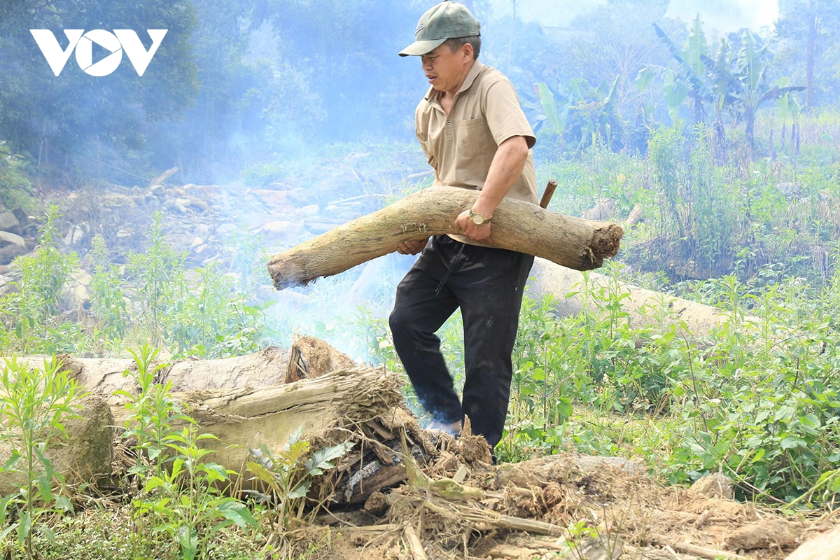 mau xanh tro lai lang peng sau con lu du hinh anh 4