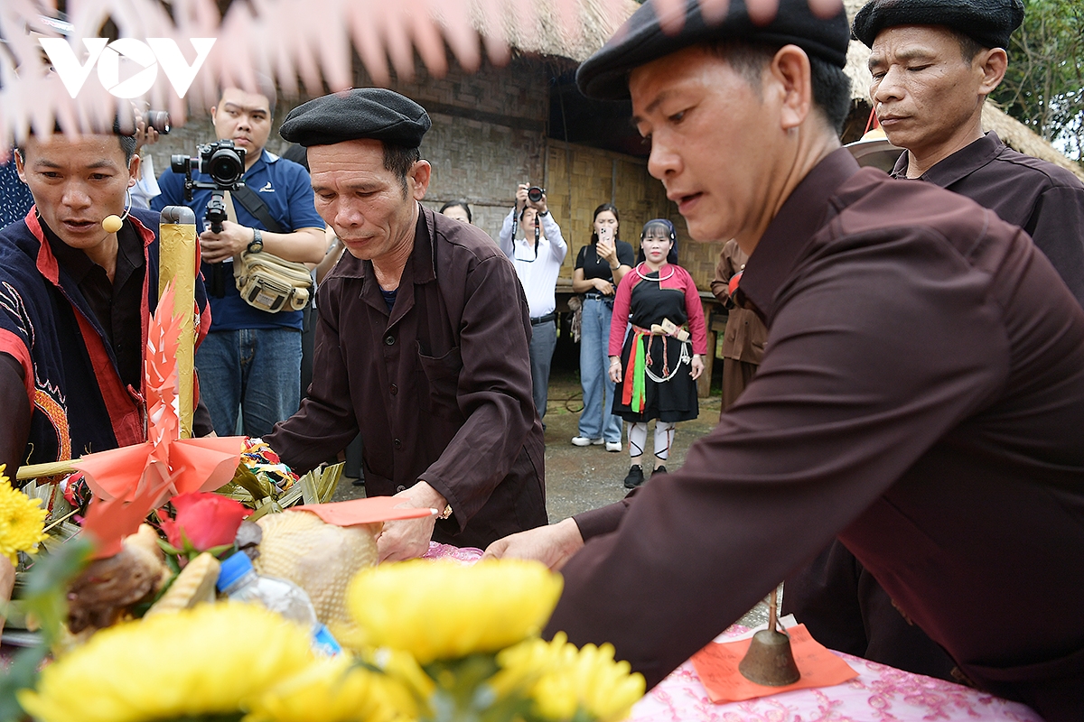 trai nghiem le hoi xuong Dong cua nguoi cao lan trong sac xuan giua long ha noi hinh anh 4