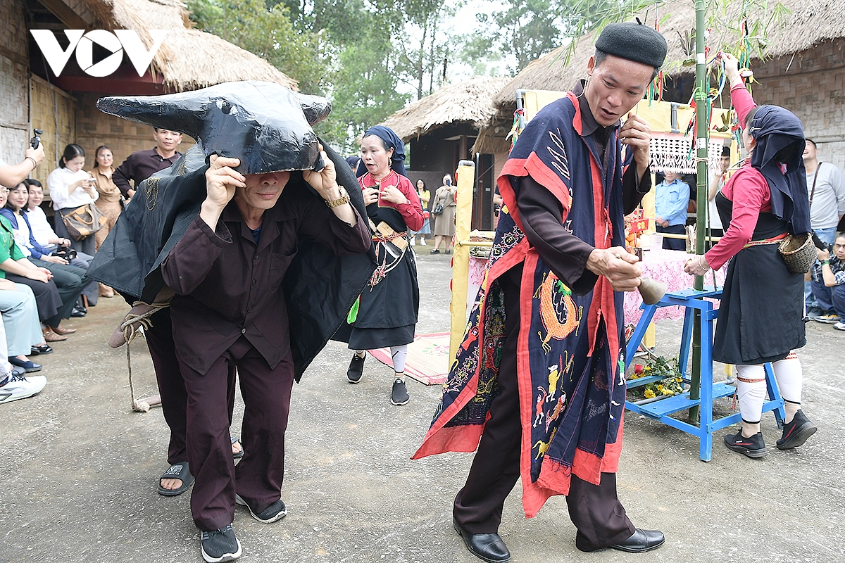 trai nghiem le hoi xuong Dong cua nguoi cao lan trong sac xuan giua long ha noi hinh anh 9