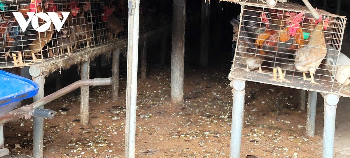 vi sao nhieu nguoi dan o Dong thap phai dong kin cua nha khi an com hinh anh 2