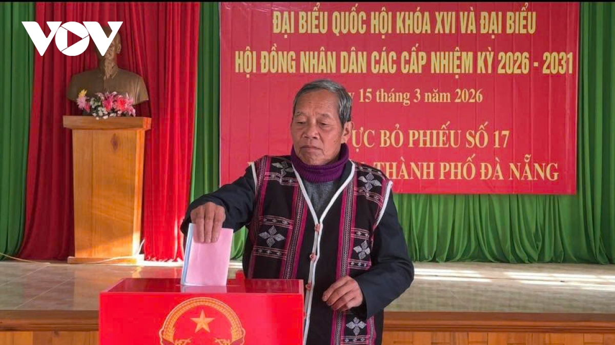 tuong thuat truc tiep ngay hoi toan dan 15 3 2026 hinh anh 209