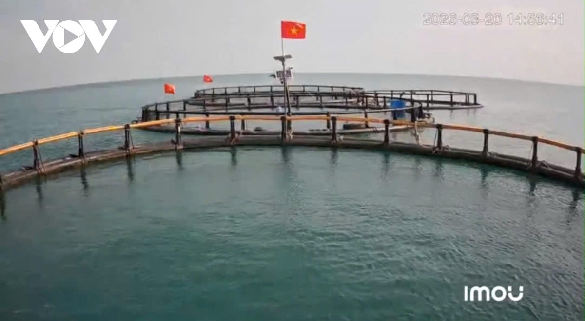 ngu dan chuyen sang nuoi trong ben vung, giam ap luc khai thac bien hinh anh 4