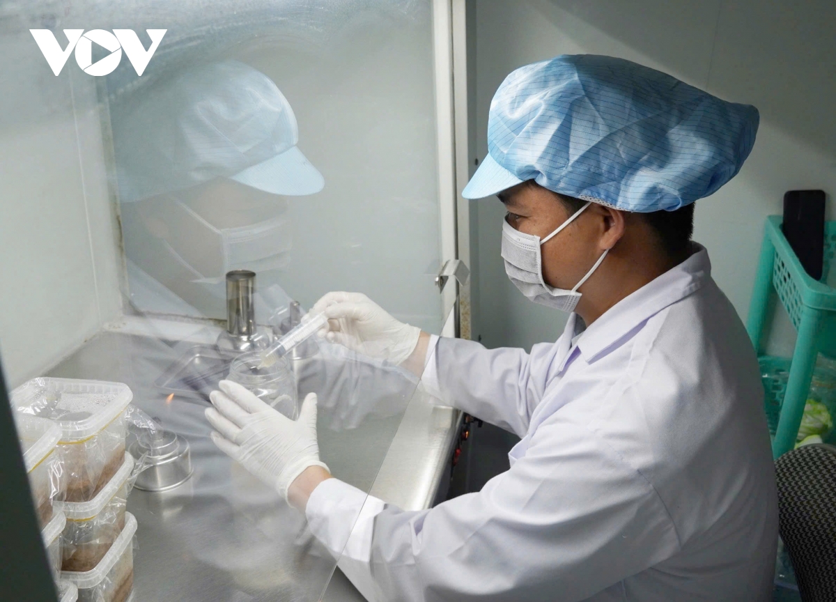 Bỏ phố về quê khởi nghiệp thành công từ cây nấm