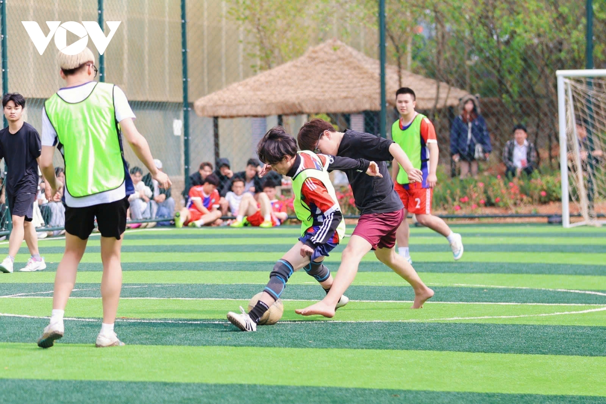 soi noi hoi thao luu hoc sinh viet nam tai tinh van nam, trung quoc nam 2026 hinh anh 6