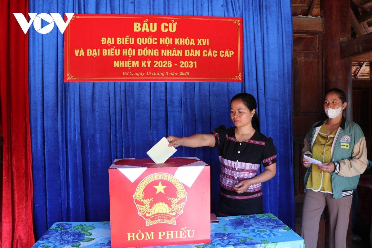 tuong thuat truc tiep ngay hoi toan dan 15 3 2026 hinh anh 256