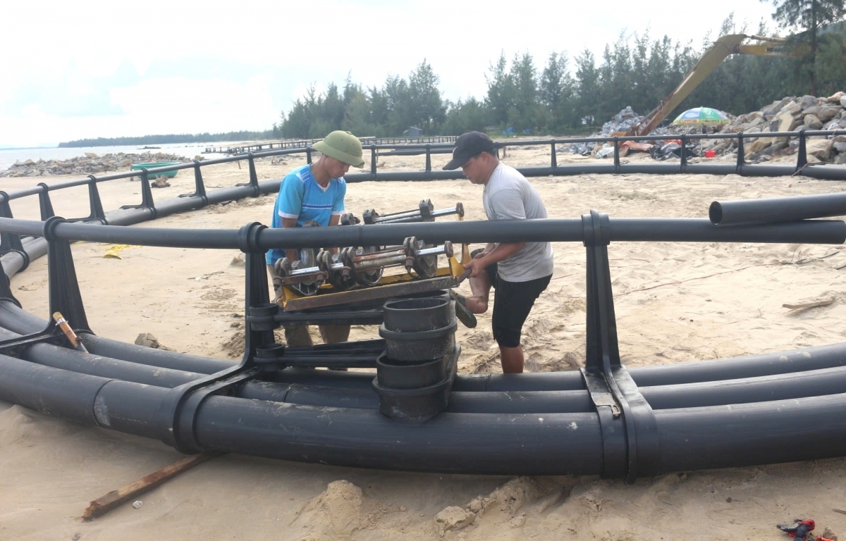 ngu dan chuyen sang nuoi trong ben vung, giam ap luc khai thac bien hinh anh 5