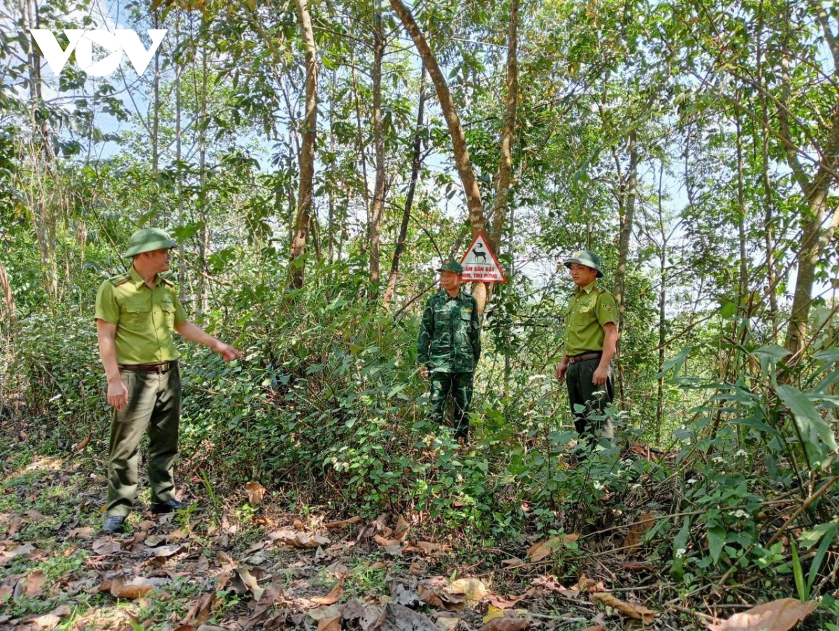 nang nong keo dai, son la thuc hien 4 tai cho phong chong chay rung tu co so hinh anh 1