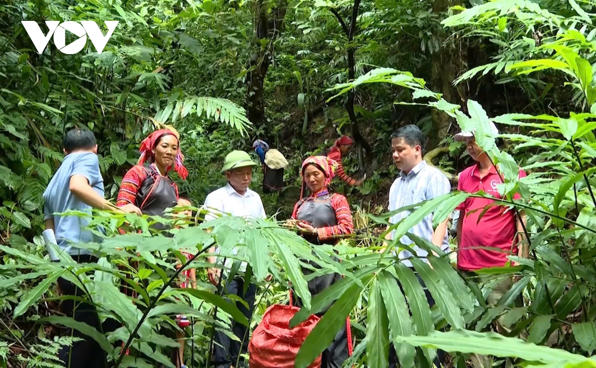 Thu Lũm - bức tranh no ấm nơi "phên dậu" Tổ quốc