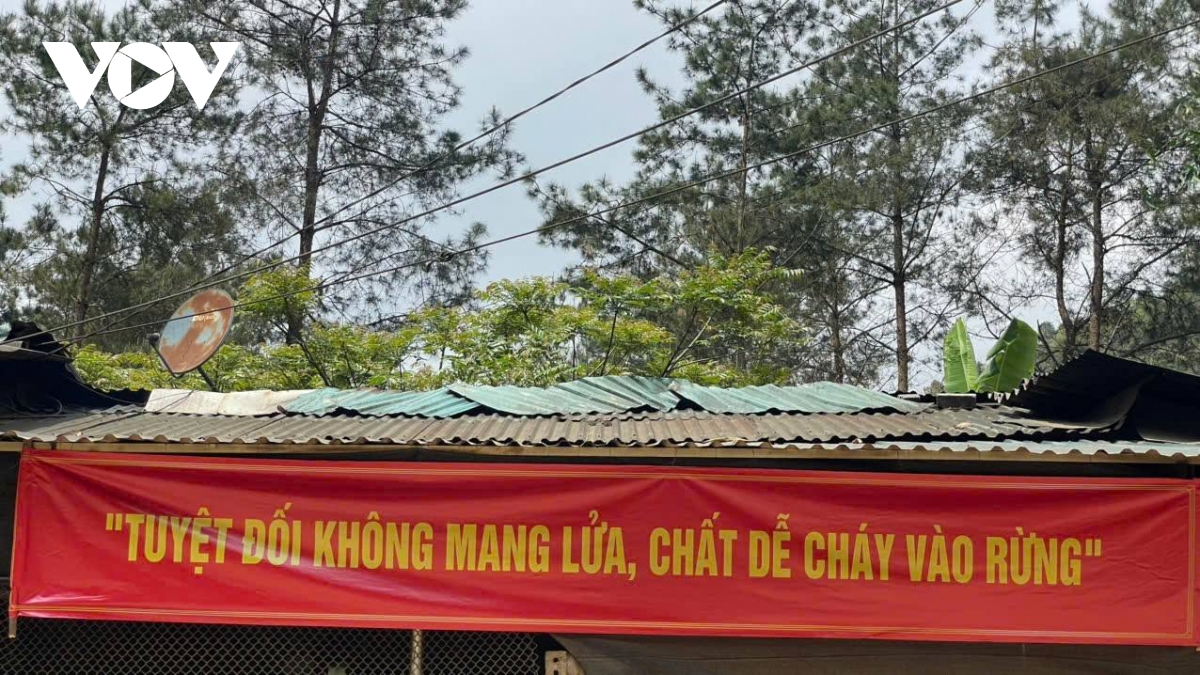 nang nong keo dai, son la thuc hien 4 tai cho phong chong chay rung tu co so hinh anh 2