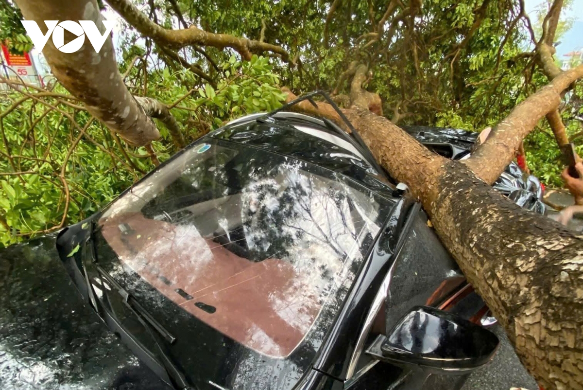 Dông lốc gây thiệt hại ở khu vực thị xã Nghĩa Lộ cũ, tỉnh Lào Cai