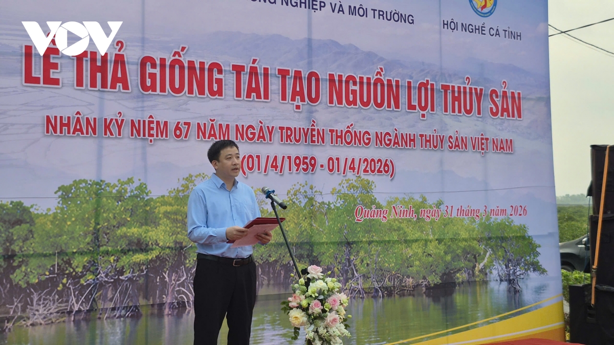quang ninh tha 5,4 trieu con giong tai tao nguon loi thuy san hinh anh 1