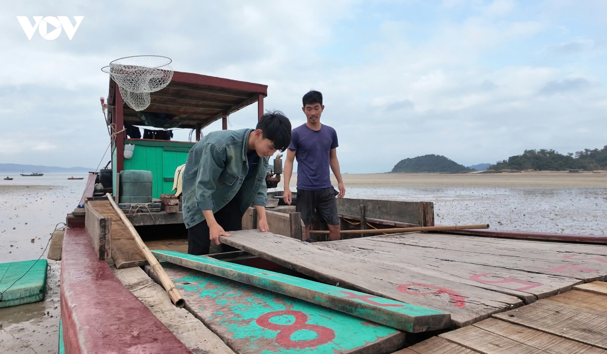 thanh nien mien nui, hai dao quang ninh ron rang chuan bi tong quan hinh anh 6