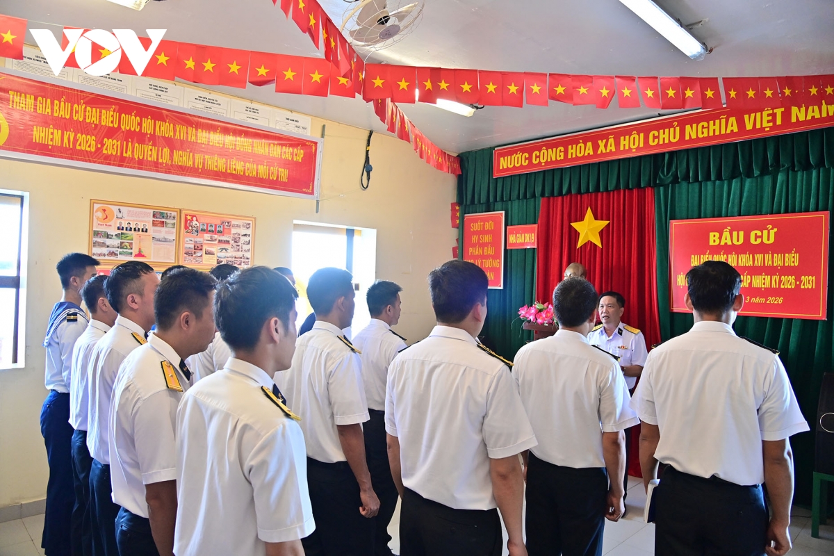 mang la phieu den voi cu tri noi dau song hinh anh 4