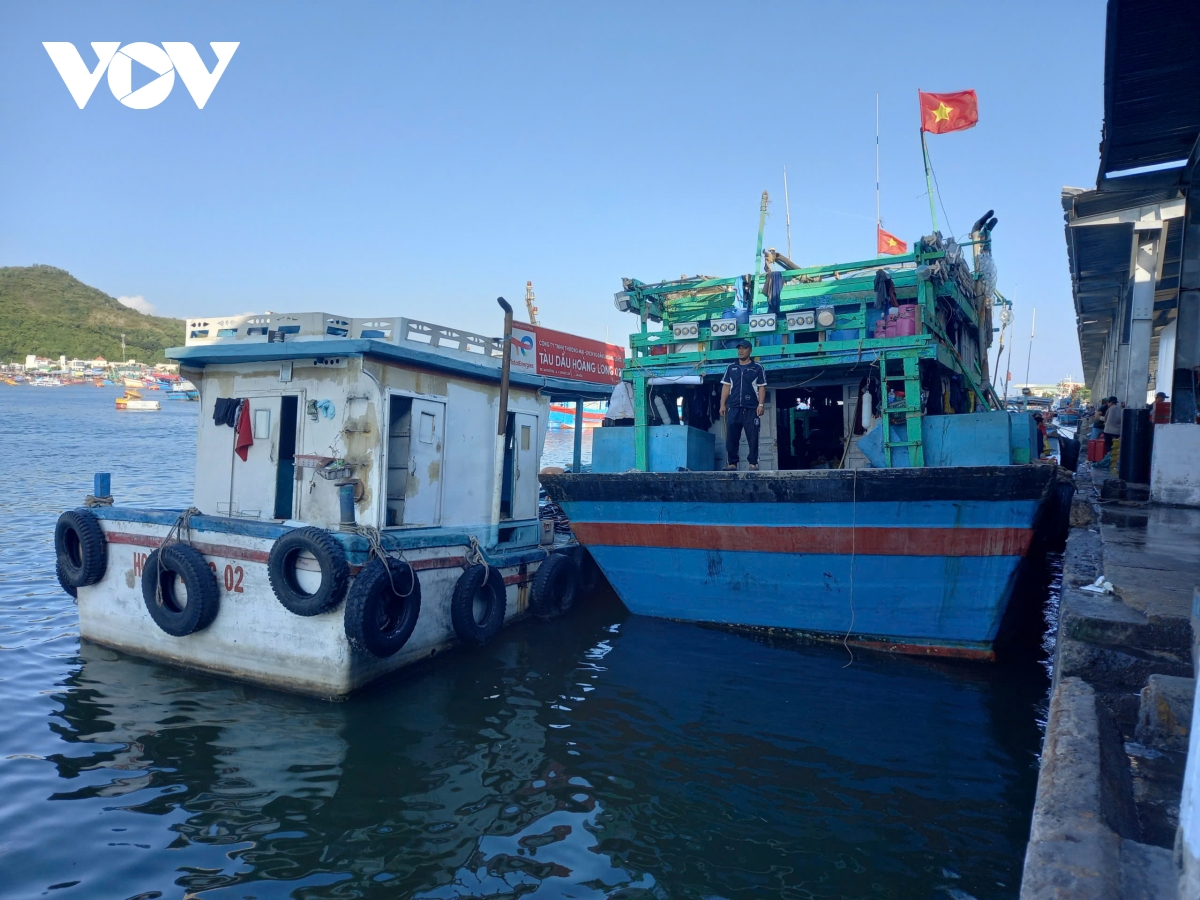 gia nhien lieu tang cao ngu dan nam trung bo xoay xo giu nhip vuon khoi hinh anh 2