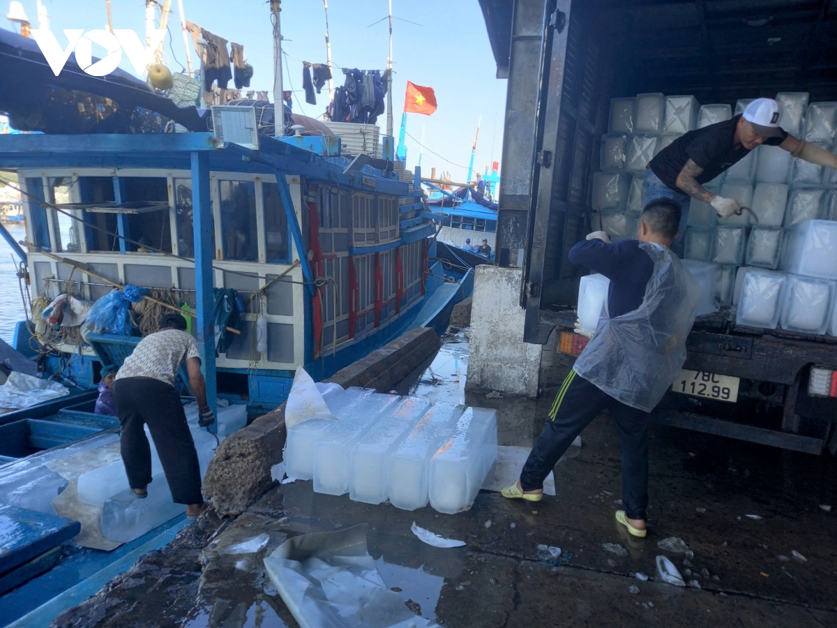 gia nhien lieu tang cao ngu dan nam trung bo xoay xo giu nhip vuon khoi hinh anh 3