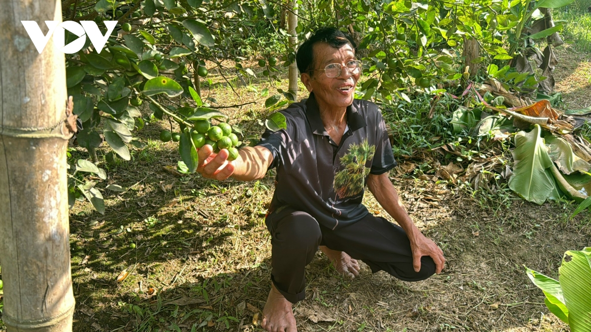 phetchaburi thai lan loi giai cho bai toan kinh te di san hinh anh 3
